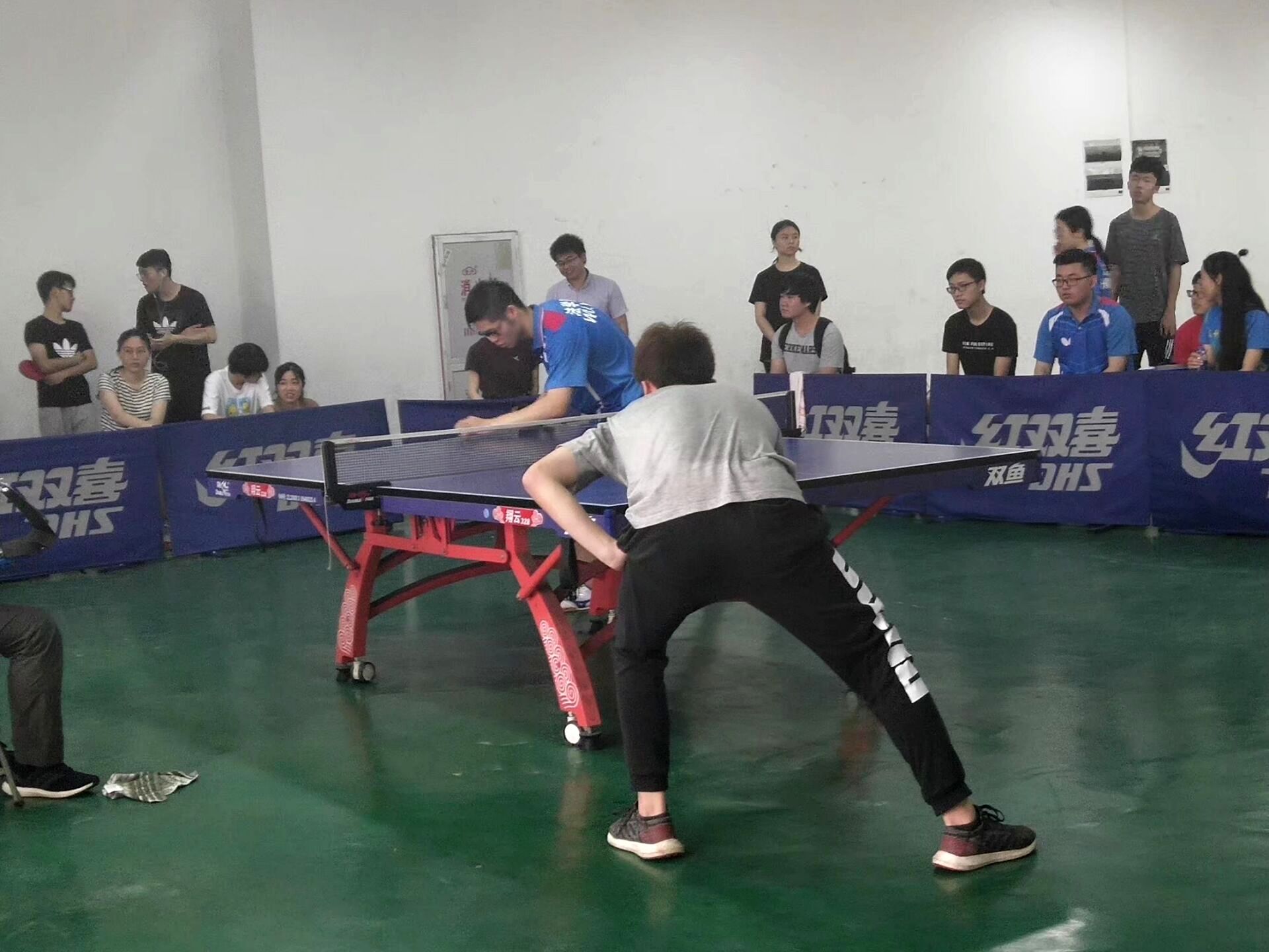 球客岛客户端